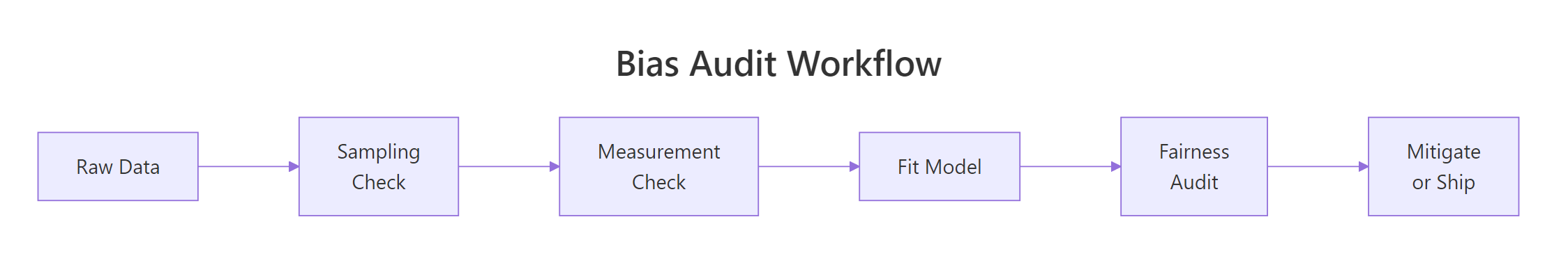 Bias audit workflow