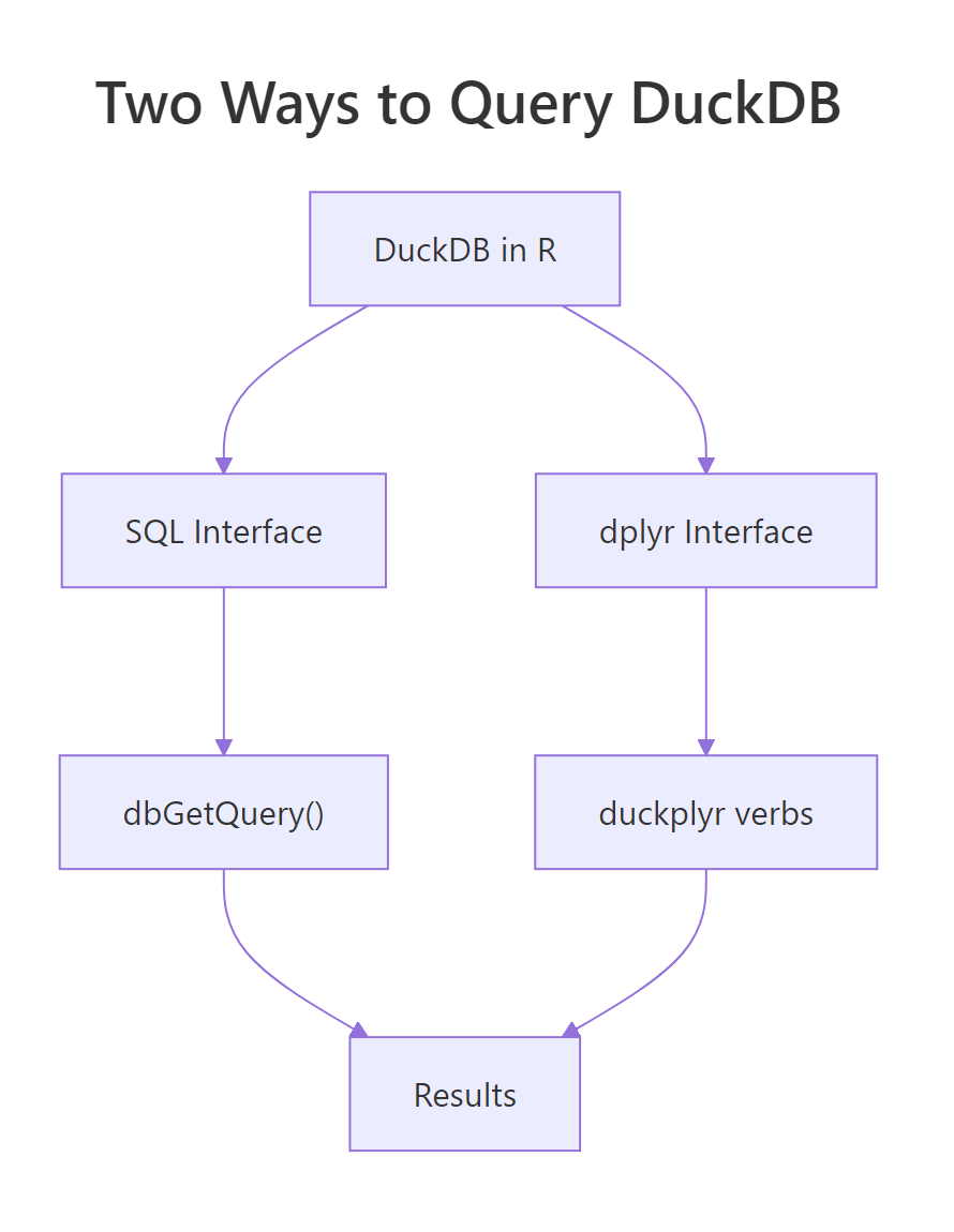 Two ways to query DuckDB: SQL via dbGetQuery() or dplyr verbs via duckplyr.