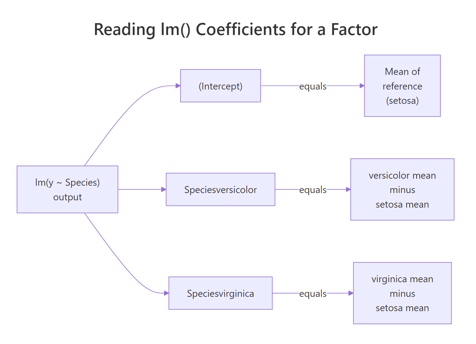 Reading lm() coefficients for a factor