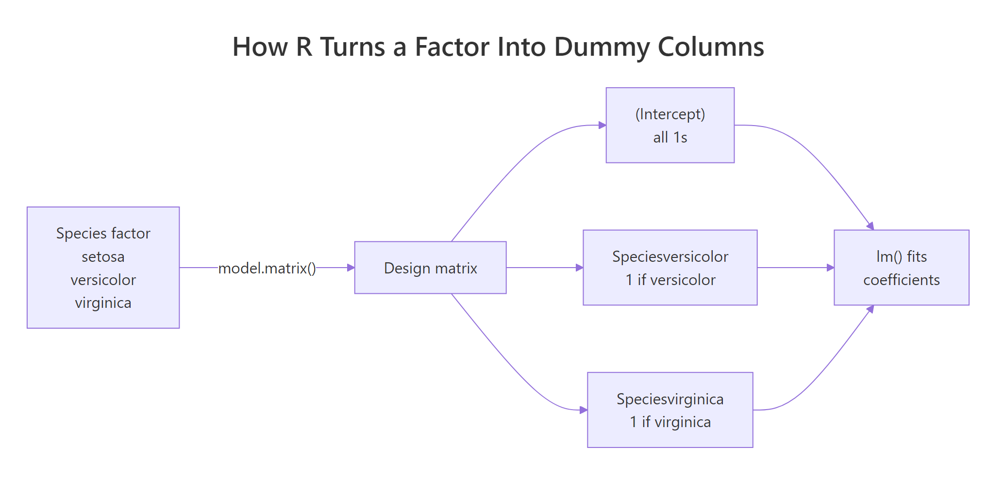 How R turns a factor into dummy columns