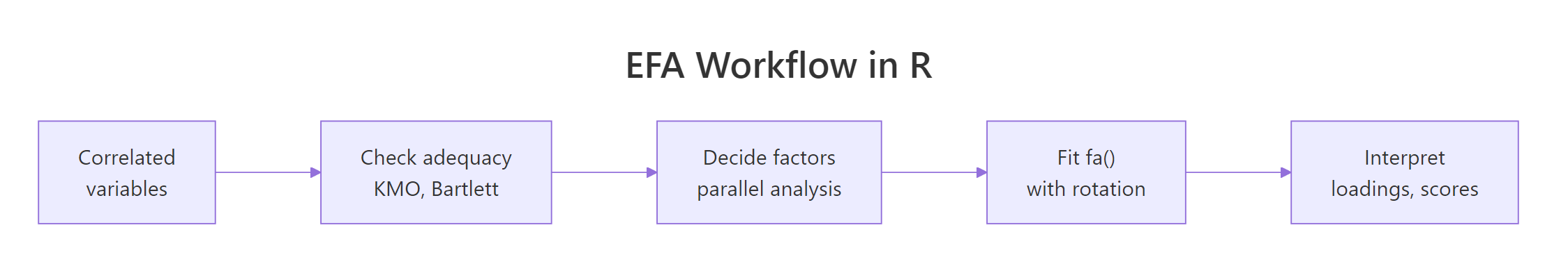 The five-step EFA pipeline in R.