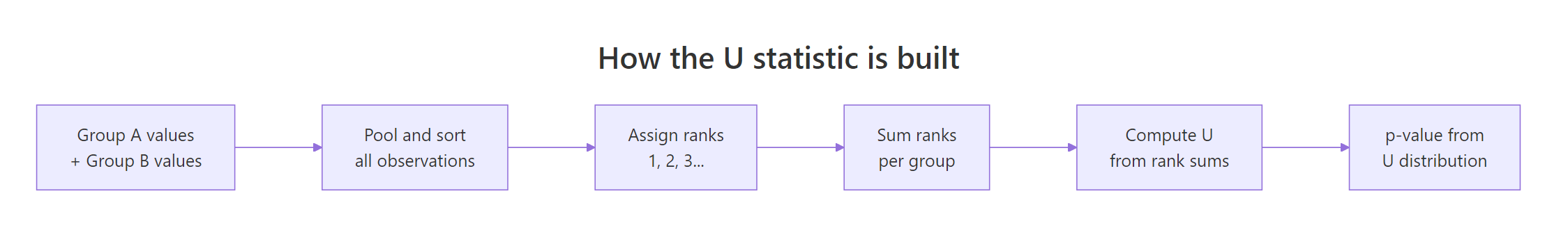 How the U statistic is built from ranks across both groups.