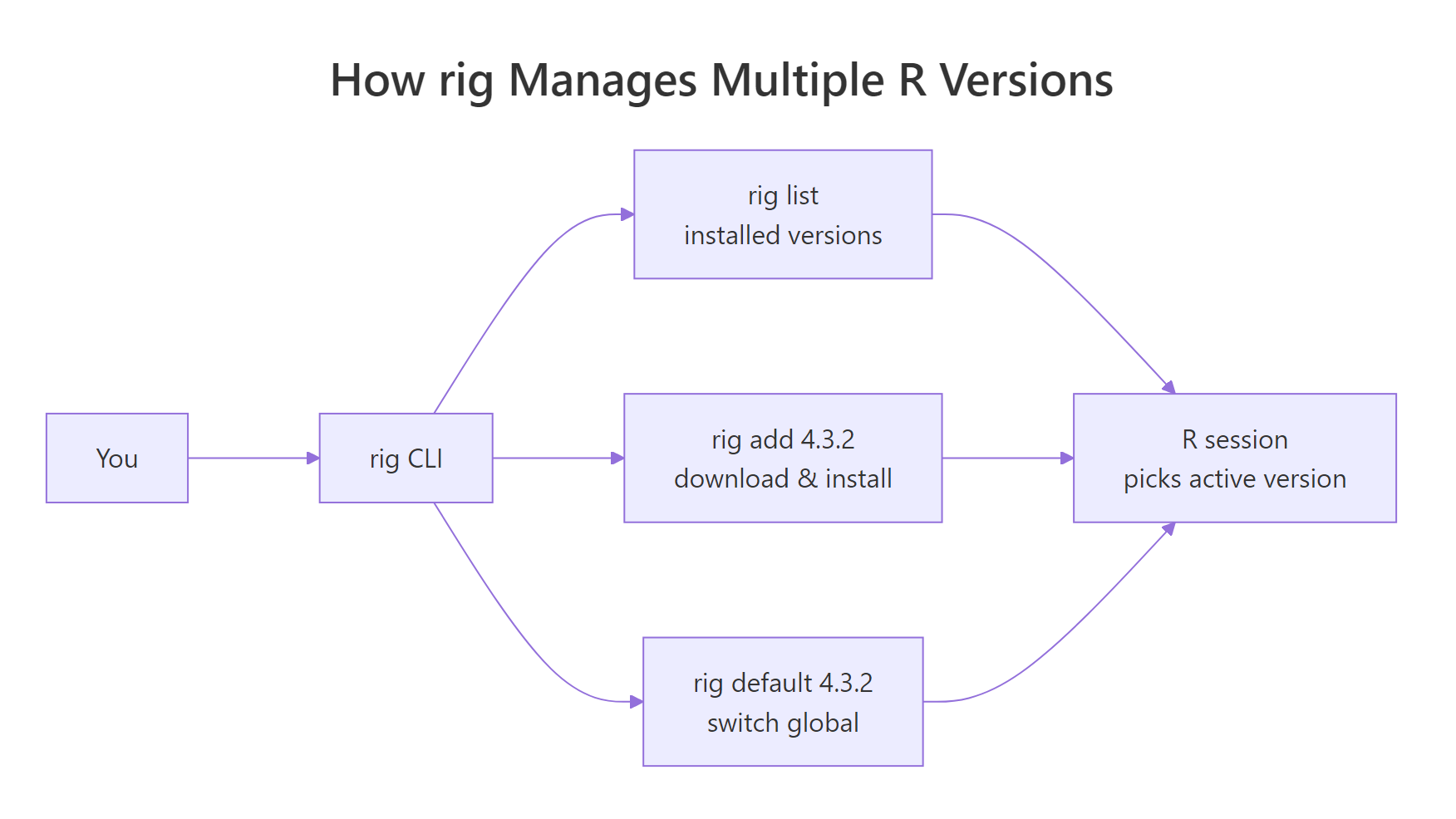 How rig manages multiple R versions