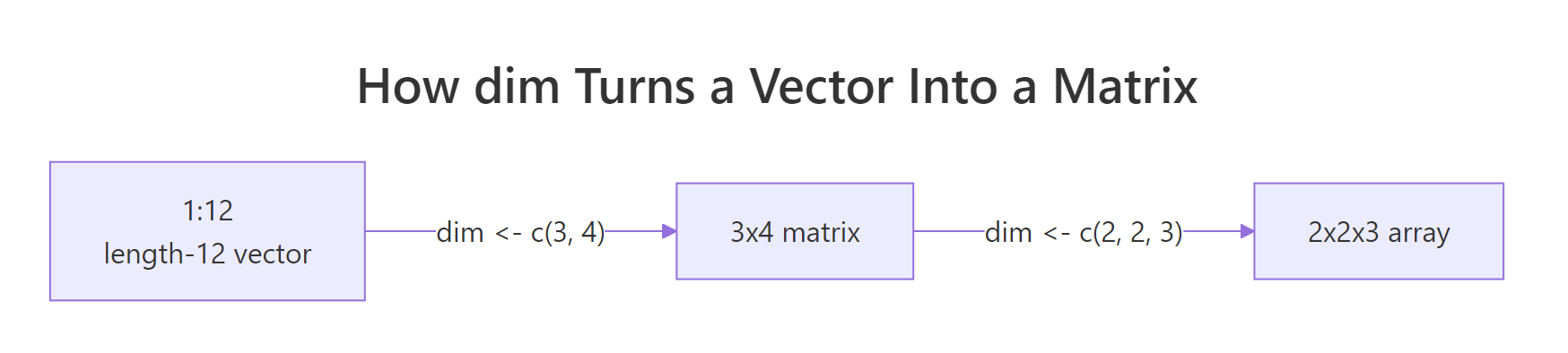 dim turning a vector into a matrix then an array