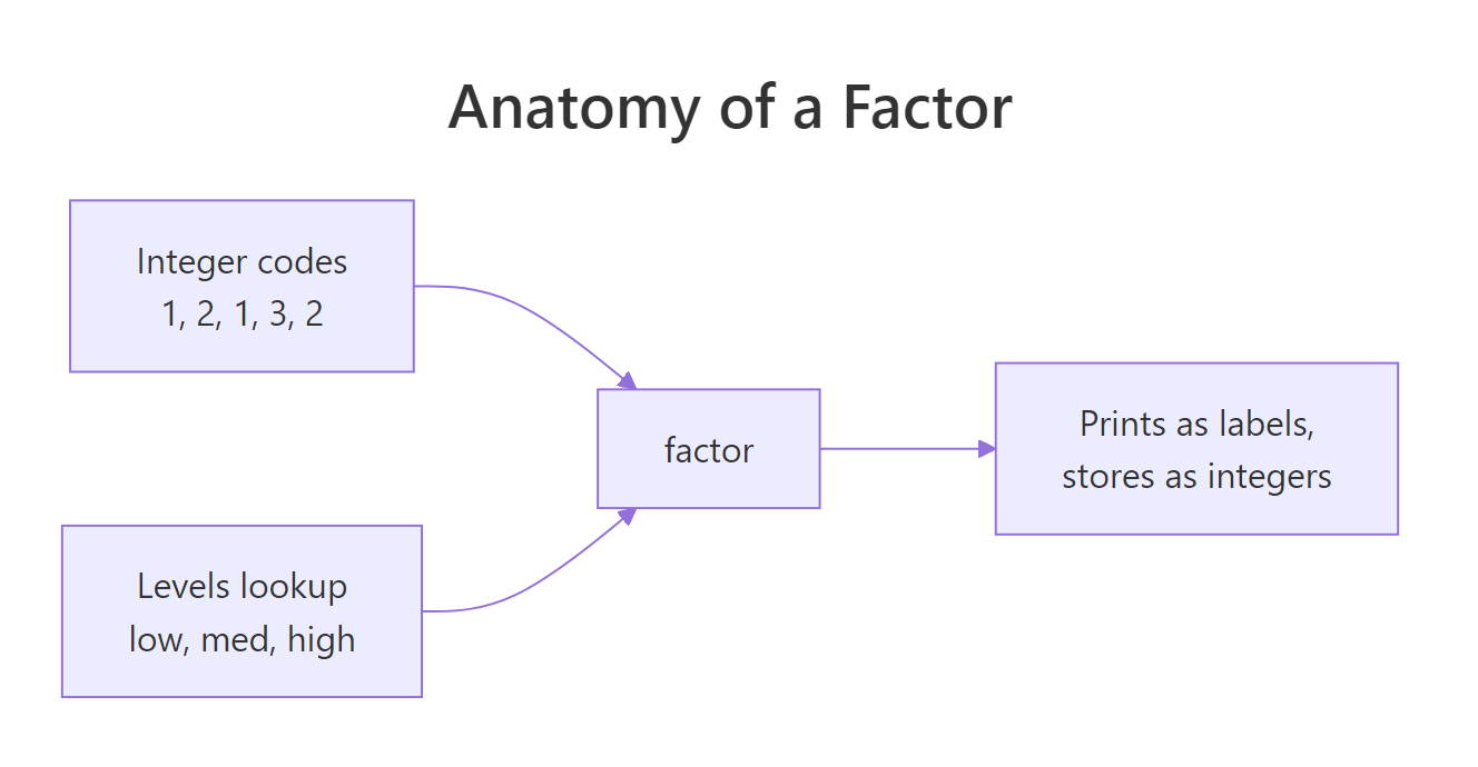 Anatomy of a factor: codes plus levels