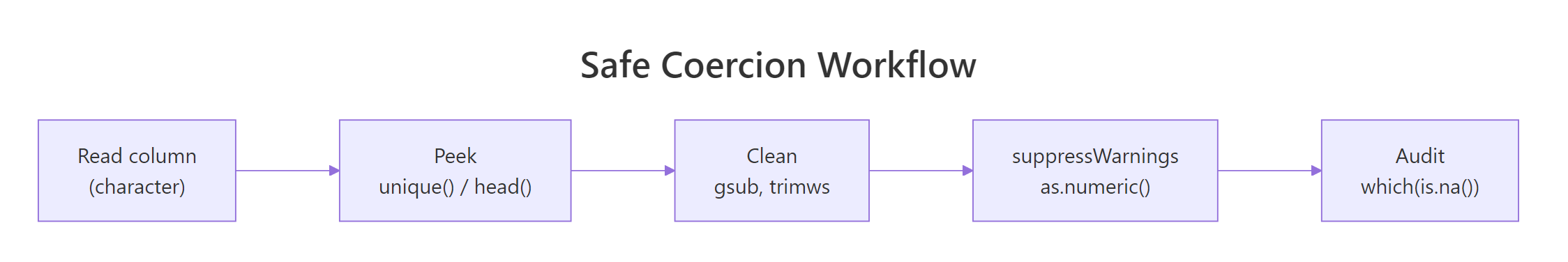 Safe coercion workflow: peek, clean, convert, audit
