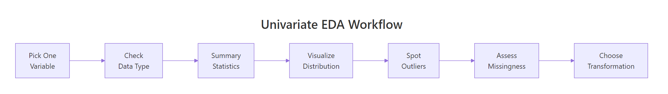 Univariate EDA workflow